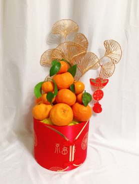 SOLD OUT! Abundance Auspicious Bucket Hamper – Chinese Knot Fook